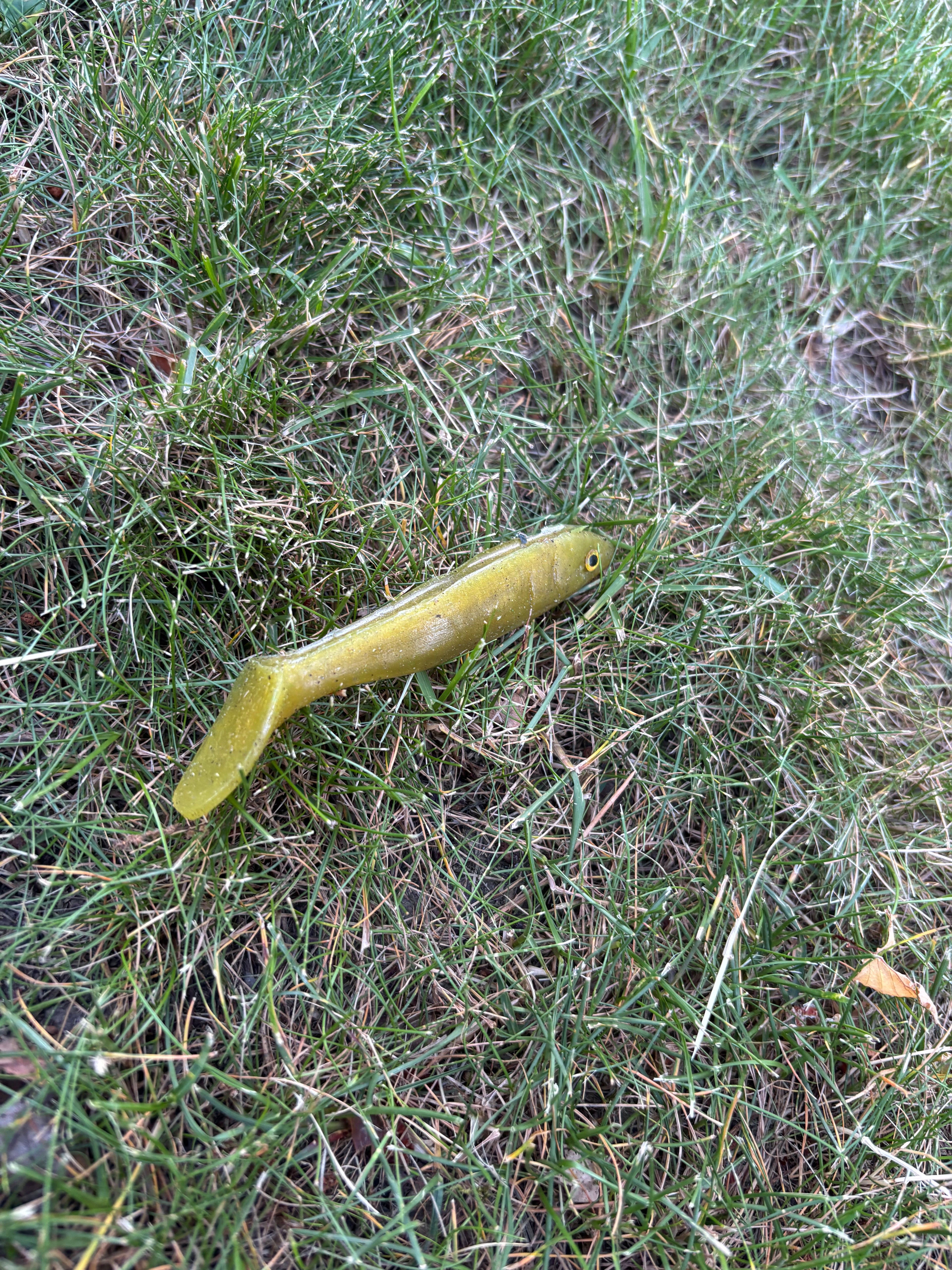 Jigg mellan 10cm