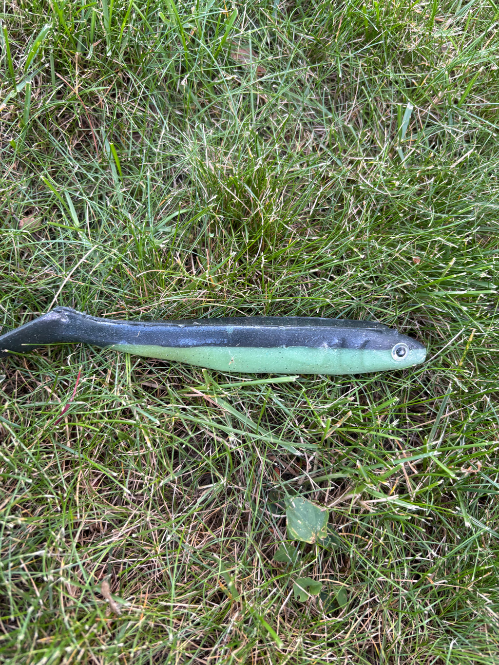 Stor 17 cm jigg